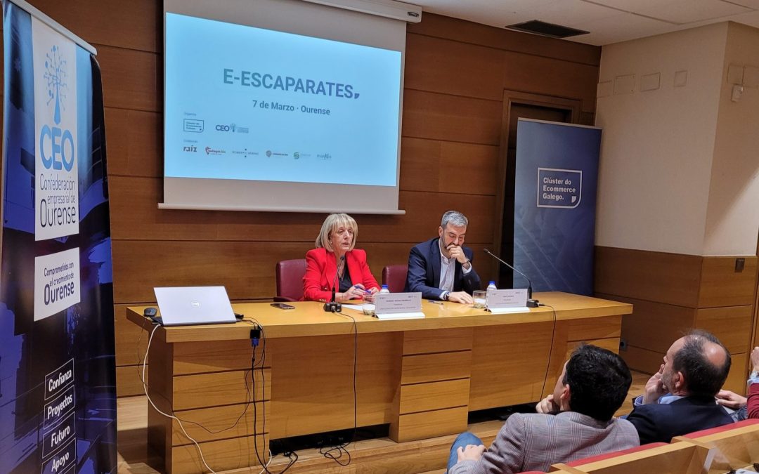 Los E-escaparates muestran en la CEO prácticas y modelos de éxito del comercio electrónico gallego