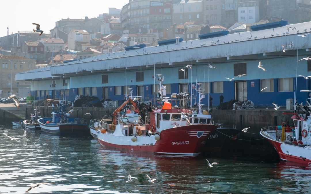 Galicia defiende la necesidad de crear un frente común fuerte a nivel europeo contra los planes de Bruselas de restringir artes de pesca como el arrastre