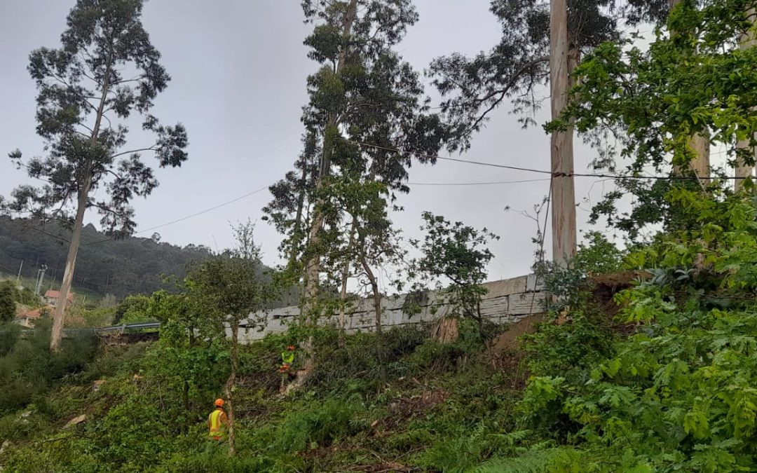 La Xunta comenzará esta semana actuaciones de limpieza y acondicionamiento en tres carreteras autonómicas a su paso por los ayuntamientos de Vigo y de Santa Comba