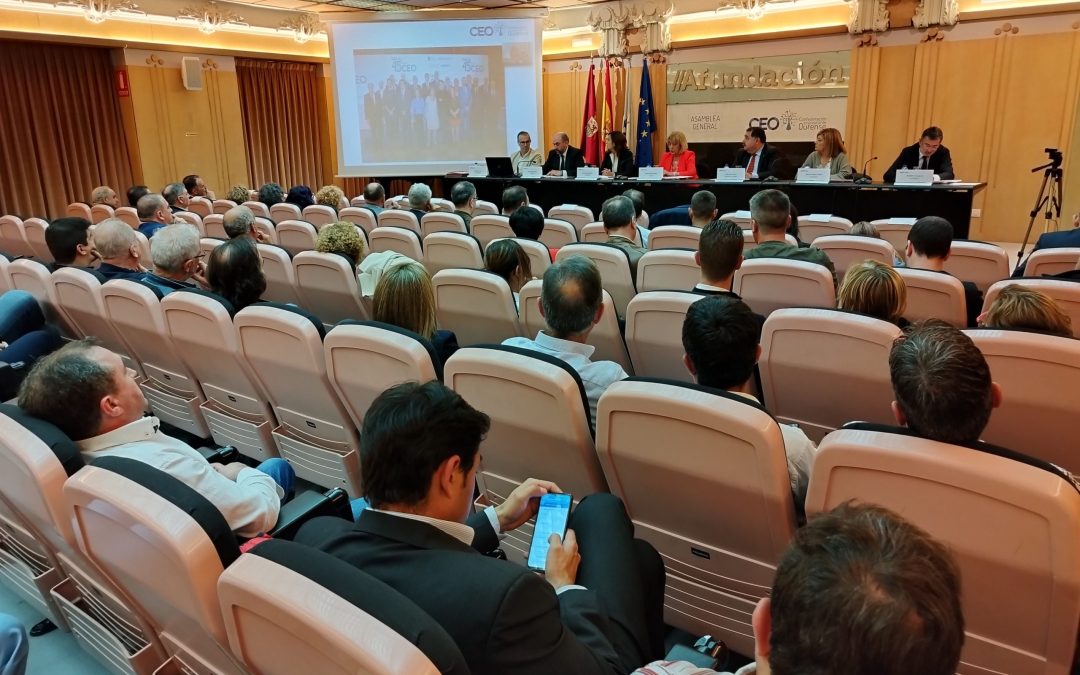 La CEO aprueba las cuentas de 2022 y el presupuesto para 2023