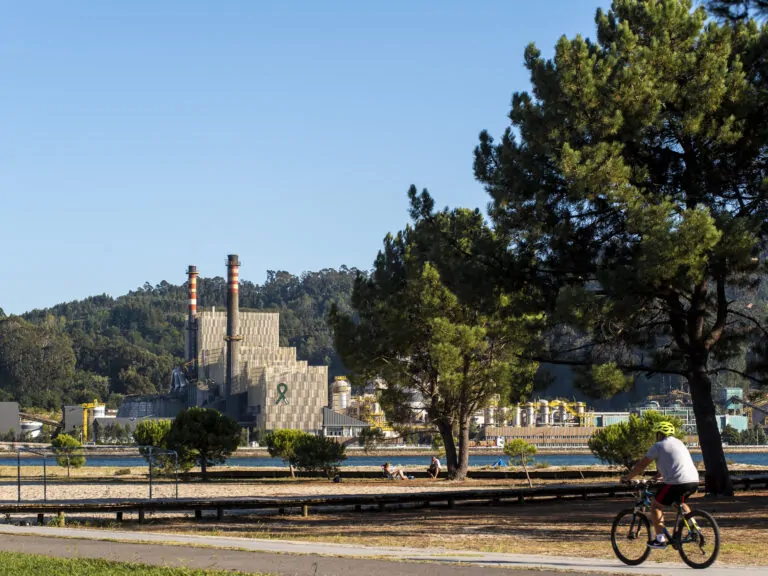 La biofábrica de Ence en Pontevedra renueva su certificación de gestión sostenible de la biomasa