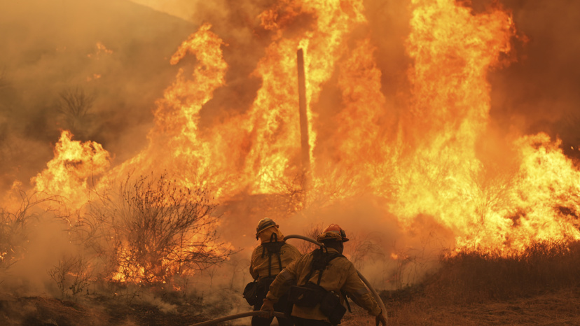 Los grandes incendios en Portugal alertan de nuevo sobre otra de las posibles consecuencias de la macrocelulosa Altri.
